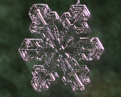 snowflake green