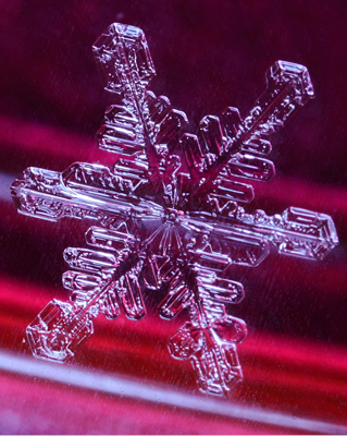 snowflake red
