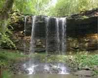 scenery charleston falls