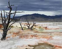 scenery mammoth springs yellowstone