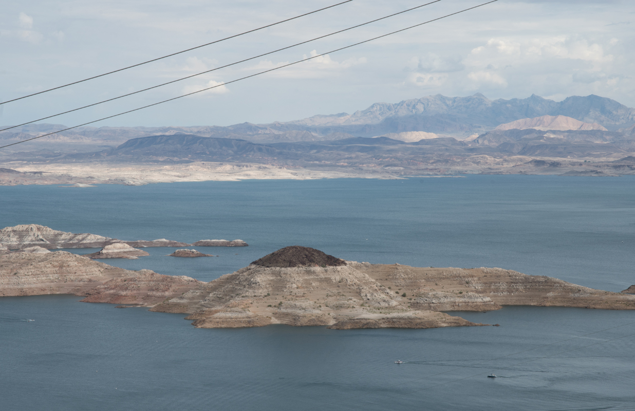 DSC_5904