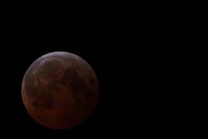 BloodMoon4_20250314