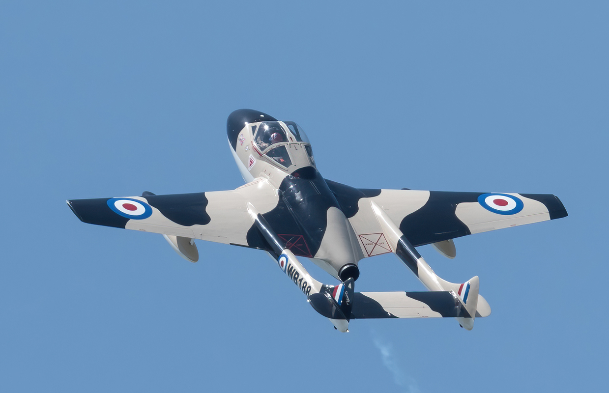 DSC_3848-DeNoiseAI-standard