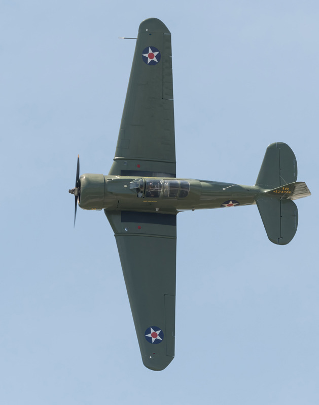 DSC_3947-DeNoiseAI-standard