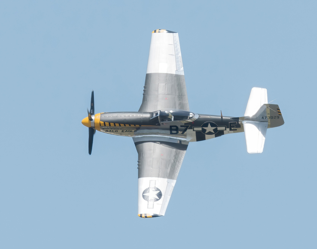 DSC_4155-DeNoiseAI-standard