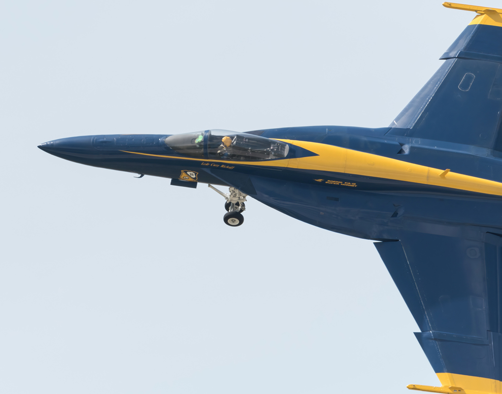 DSC_4251-DeNoiseAI-standard