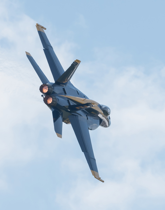 DSC_4455-DeNoiseAI-standard