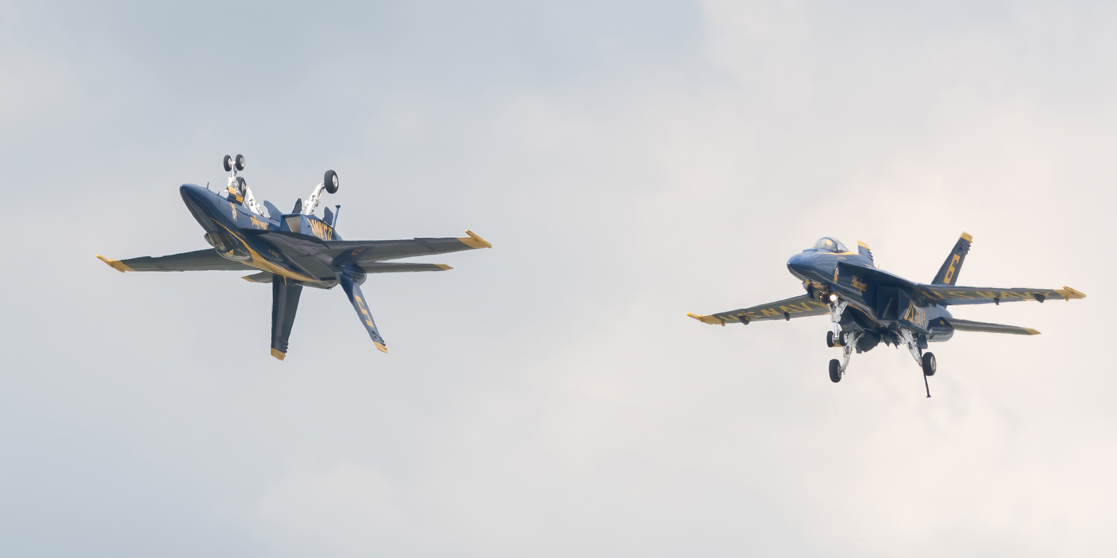 DSC_4787-DeNoiseAI-standard