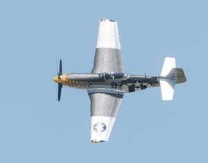 DSC_4155-DeNoiseAI-standard