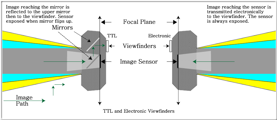 TTL and EVF