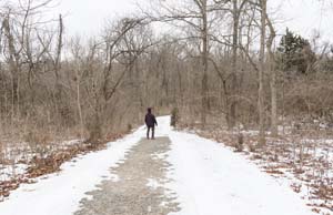 14_path_least_travelled